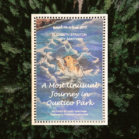 A Most Unusual Journey in Quetico Park - Book by Elizabeth Straiton & Cindy Sakiyama