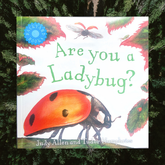 Are You a Ladybug? Book by Judy Allen