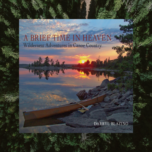 A Brief Time in Heaven - Book by Darryl Blazino